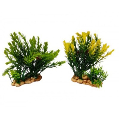 ΔΙΑΚΟΣΜΗΤΙΚΟ ΦΥΤΟ ΕΝΥΔΡΕΙΟΥ ΣΕ 2 ΧΡΩΜΑΤΑ 15Χ9CM